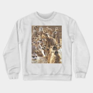 Suricate Crewneck Sweatshirt